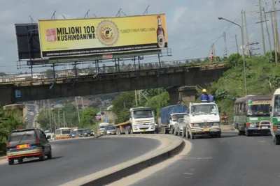 DSC_7557 (Large).JPG